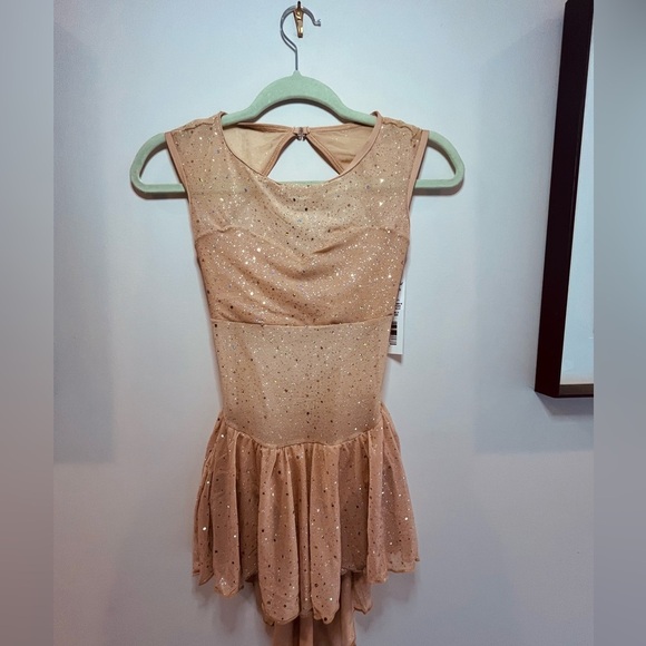 Body Wrappers Sparkling Tan Dance Dress - Picture 1 of 4